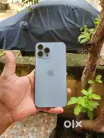 IPhone 13 pro max all original 256gb 81%battery
