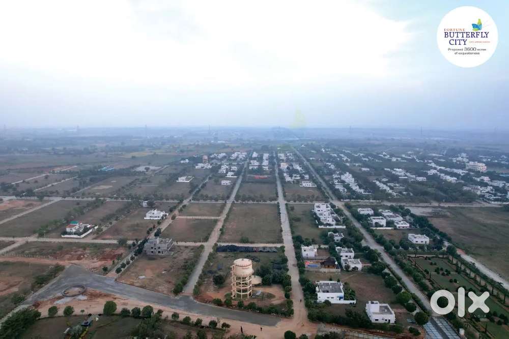 Fortune butterfly City,