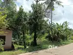 Plot for sale