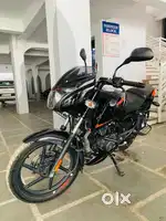 Pulsar 125cc [2021]