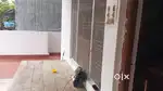 Family  room / girl