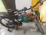 Felix named cycle