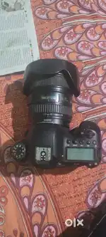 6d mark2 with 24_ 105 lens