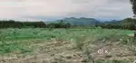 Dharatal Green Pvt Ltd