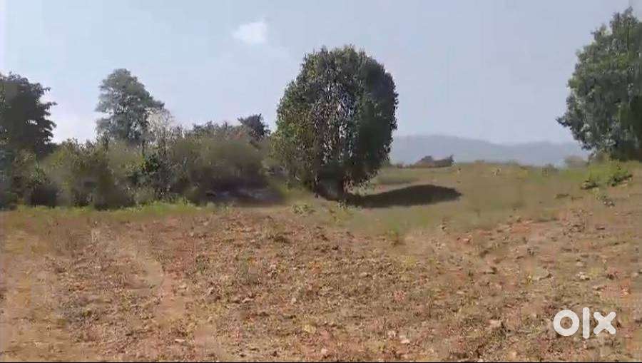 LAND FOR SALE IN GUMMAKOTA 5.5 ACRES