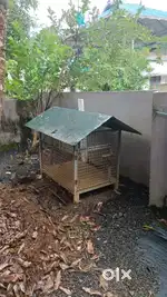 Dog kennel