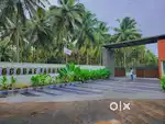 Coconut Farm Land