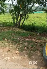 One Acre wetland for sale near Aluva