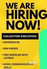 Looking for Collection executive