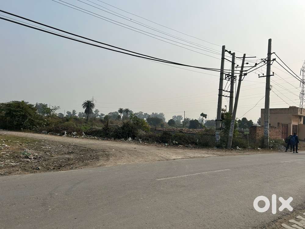 Godown/ poultry farm