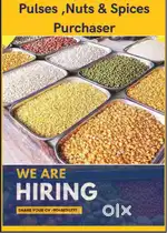 Pulses,Nuts & Spices Purchaser(Bulk Qty)