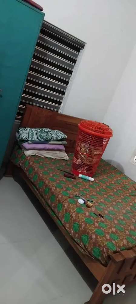 Independent house for rent (laddies or Family)