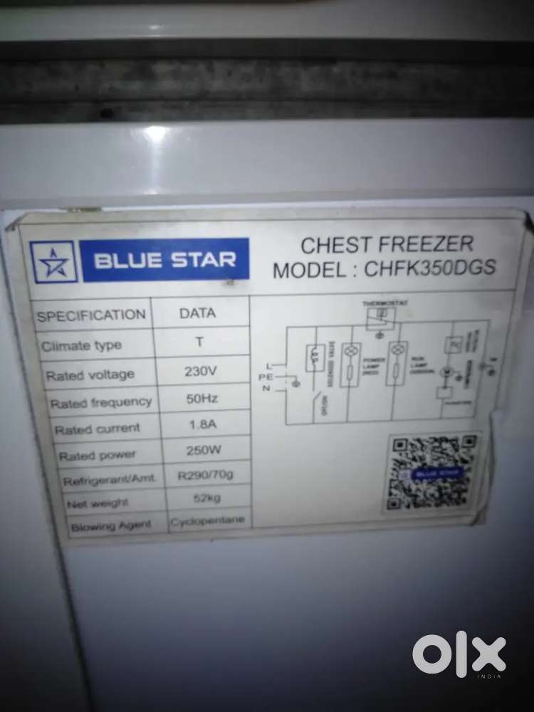 Bluestar Deep freezer