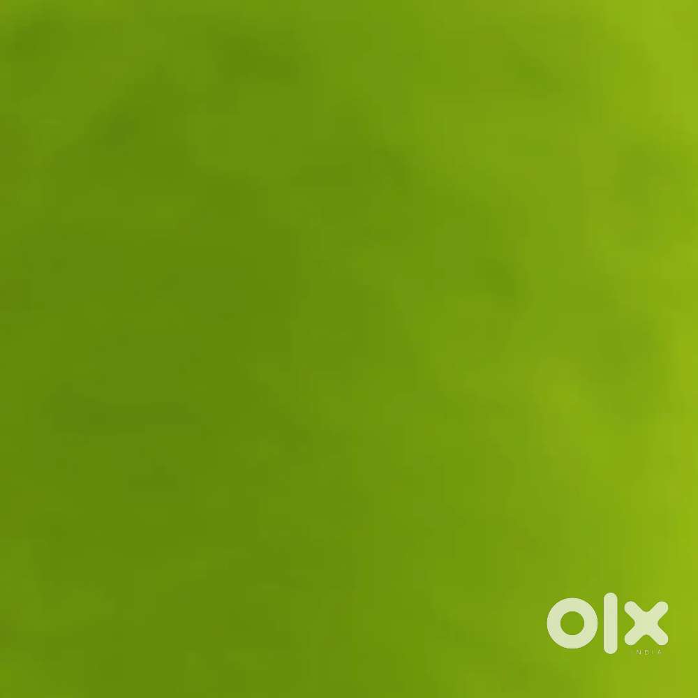 Assistant female only