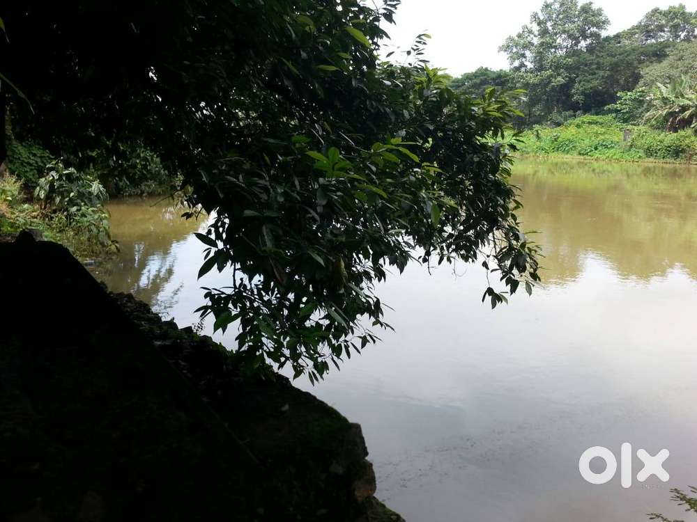 SHOWROOMS/ OFFICE SPACE FOR RENT AT NAGAMPADAM JUNCTION