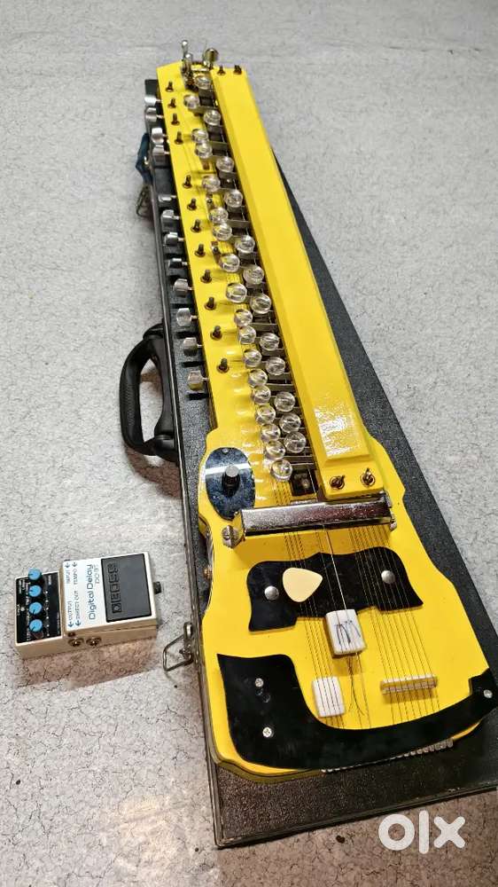 Bulbul benjo with DD3T boss delay