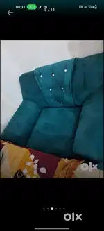 1 year old sofa