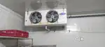 Cold Storage