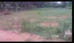 Plot for sale in Kalapet Pondicherry