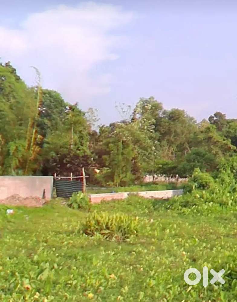 8.5 cent land for sale Near Thookukulam