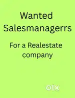 Sales managers