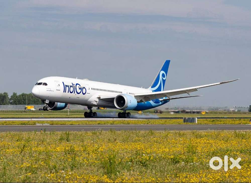 IndiGo Airlines Urgent Job Openings for Ground Staff – Apply Today