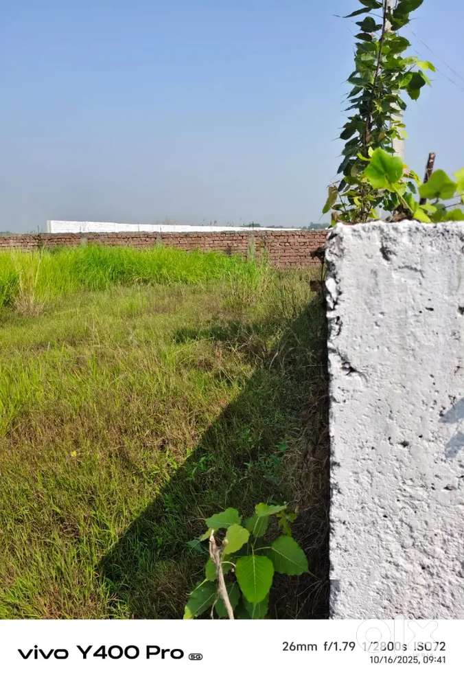 बिहटा सरमेरा  हाईवे पर कन्हौली बाजार के पास प्लॉट