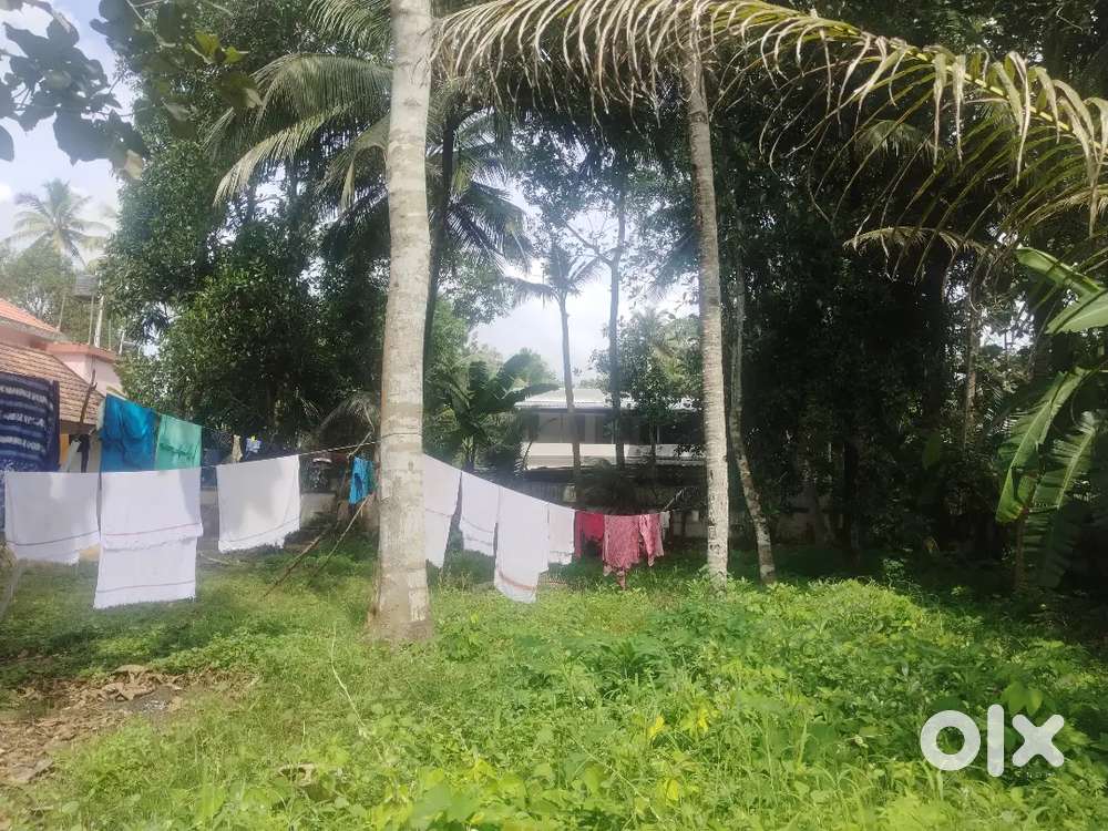 Mavelikara, kochikkalJn opposite Rubber Esstate