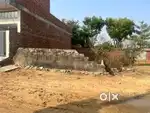 Balaji city sirsi Bindyaka bhakroto se 7 km distance par