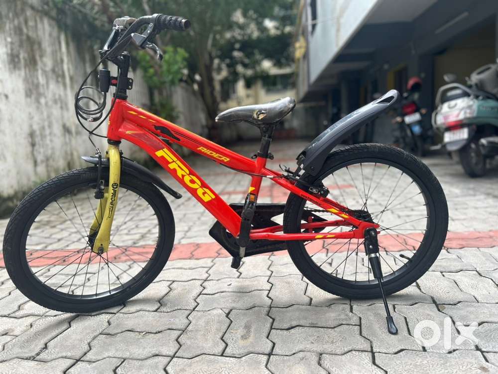 Frog Kids cycle for urgent sale - ideal for 4 to 8 years age group