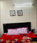 Flats for move immediately
