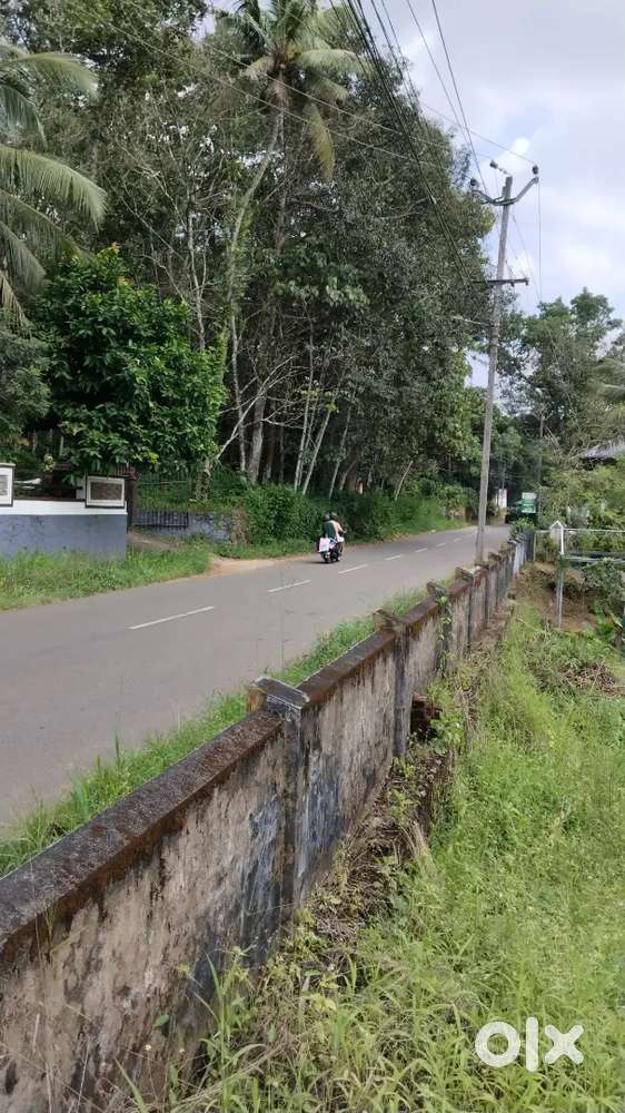 Plot for sale at ayarkunnam, pwd road side, 800m from ayarkunam town