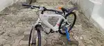 Bycle Cycle
