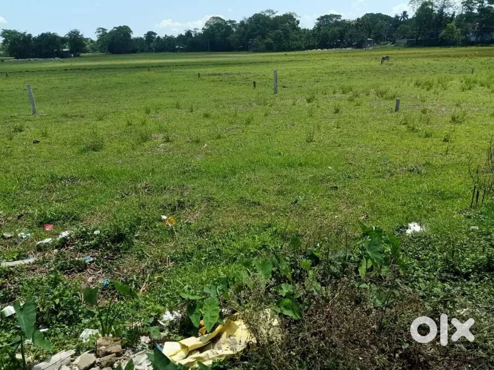 1 Katha land for sale.