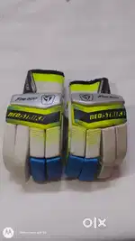 Cricket batting pads and gloves
