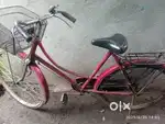 Lady Bird Ledies Cycle