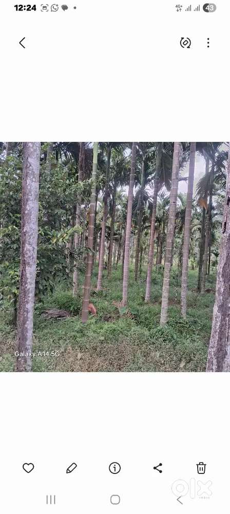 Panchayat  rod 10mettr   300meters  charch