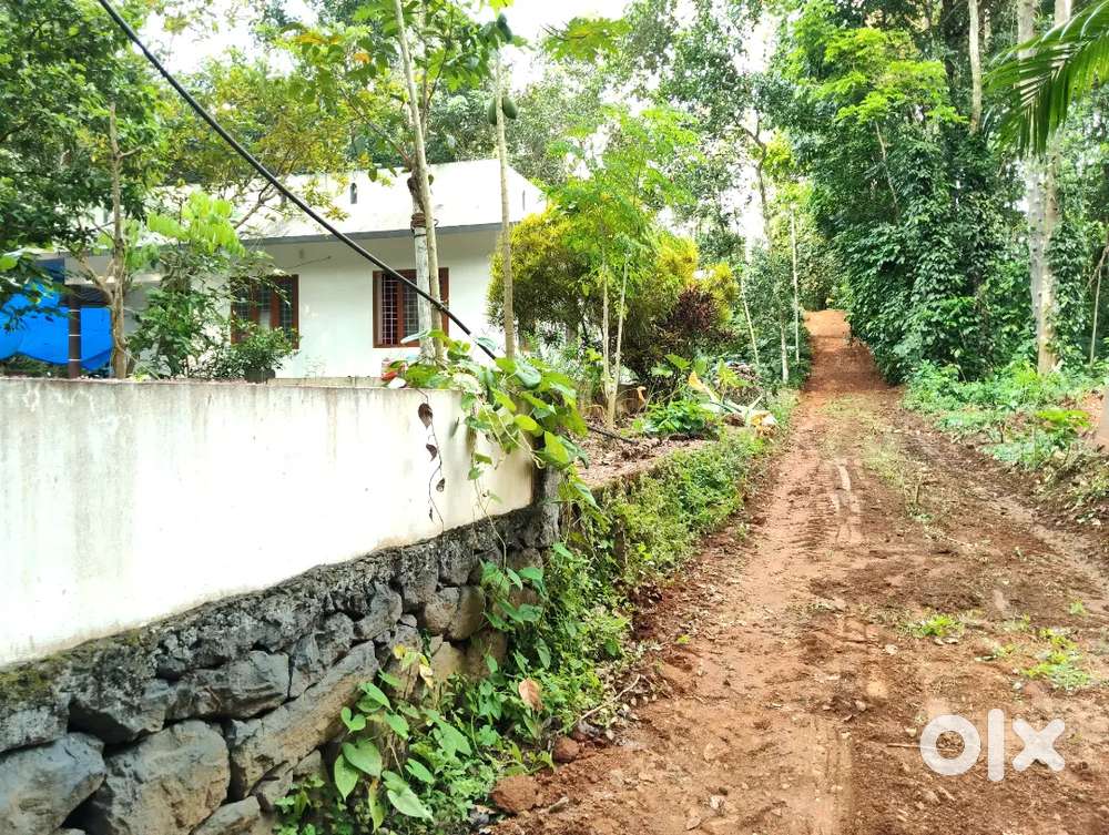 29 cent land for sale in Kerala
