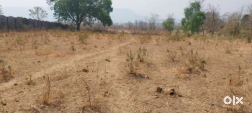 Open plot area with N.A.