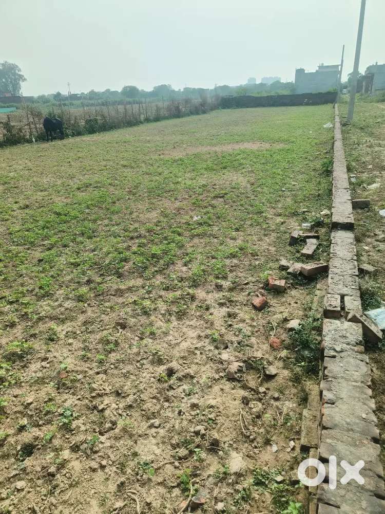 Ye plot ako kamta highcourt ke near me milega