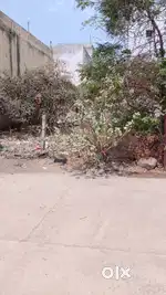 इंदौर स्थित रामेश्वर धाम मांगलिया में 1200 वर्ग फुट का प्लाट