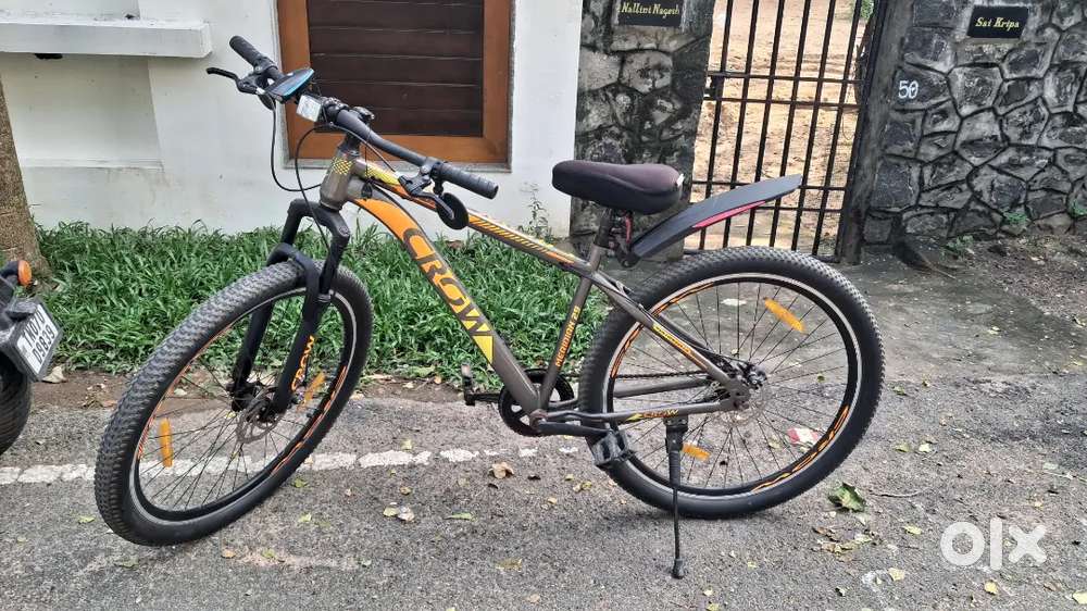 Crow 29T Single Speed Cycle