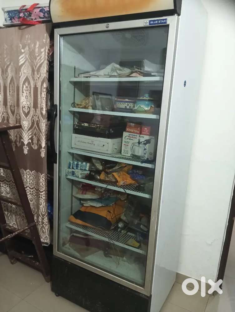 Two Blue Star 550 ltrs standing bottle coolers, one ice creamr freezer
