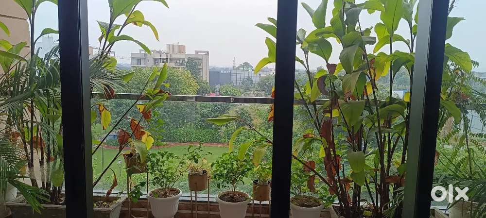 Residential plot for sale in sohna