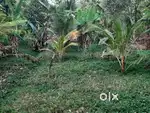 Plot for sale
