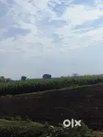 Land for sell (irrigation)