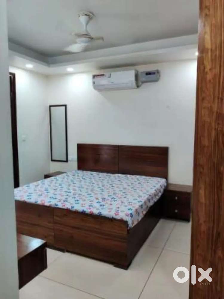 Family 2 Bhk 2 bath kitchen sector 44 Chandigarh