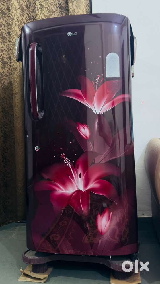 Lg fridge 2019