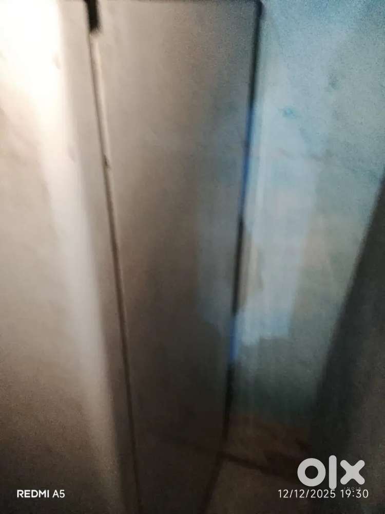 5 years old and without papers