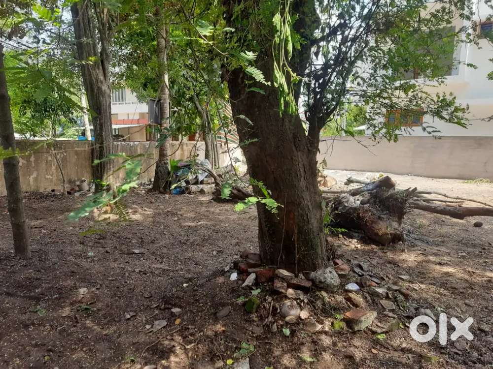 House plot 3,4 cents